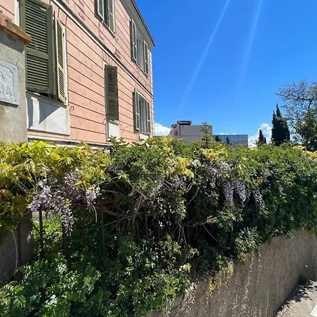 Alice - T2 Cossu Et Calme En Plein Coeur D'ajaccio Appartement Ajaccio (Corsica)